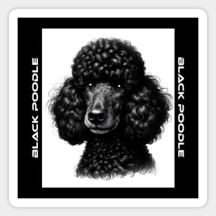 Black Poodle Magnet
